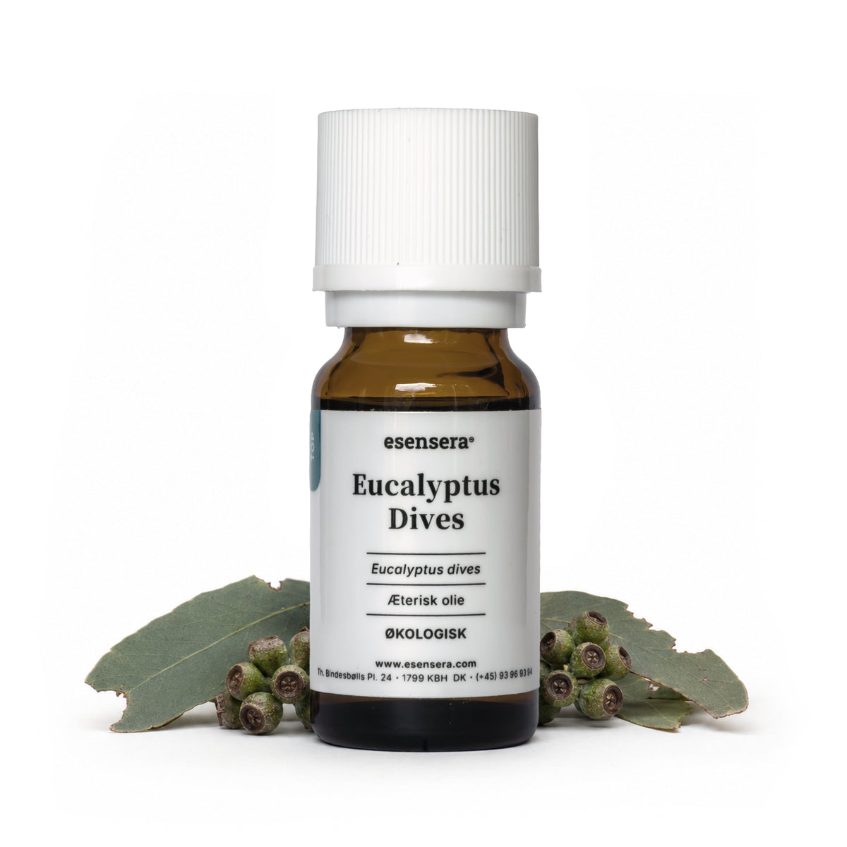 Eucalyptus Dives