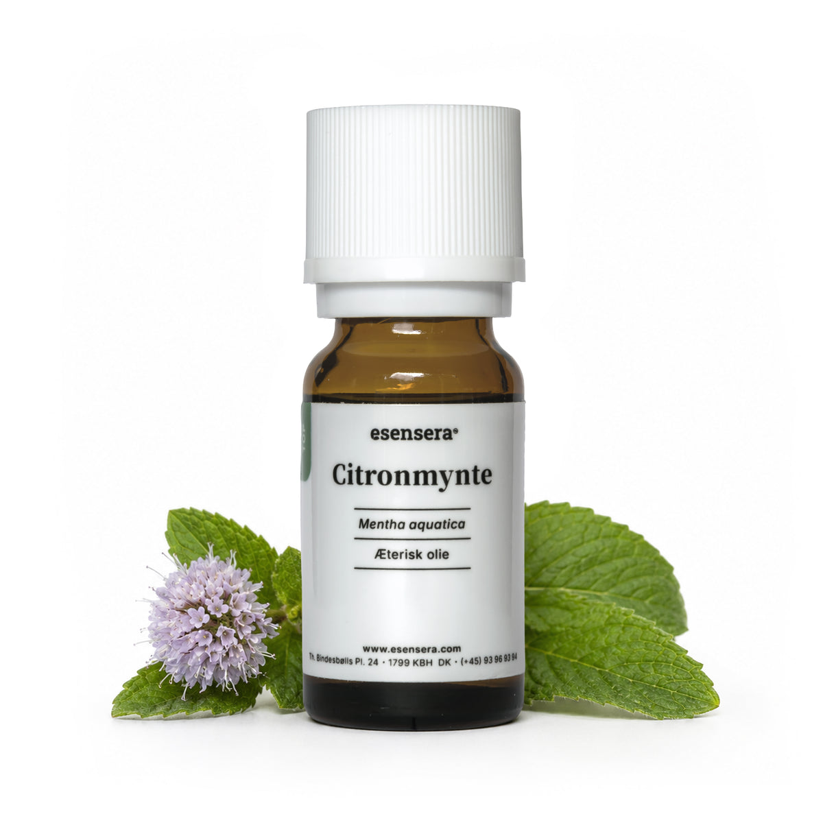 Citronmynte