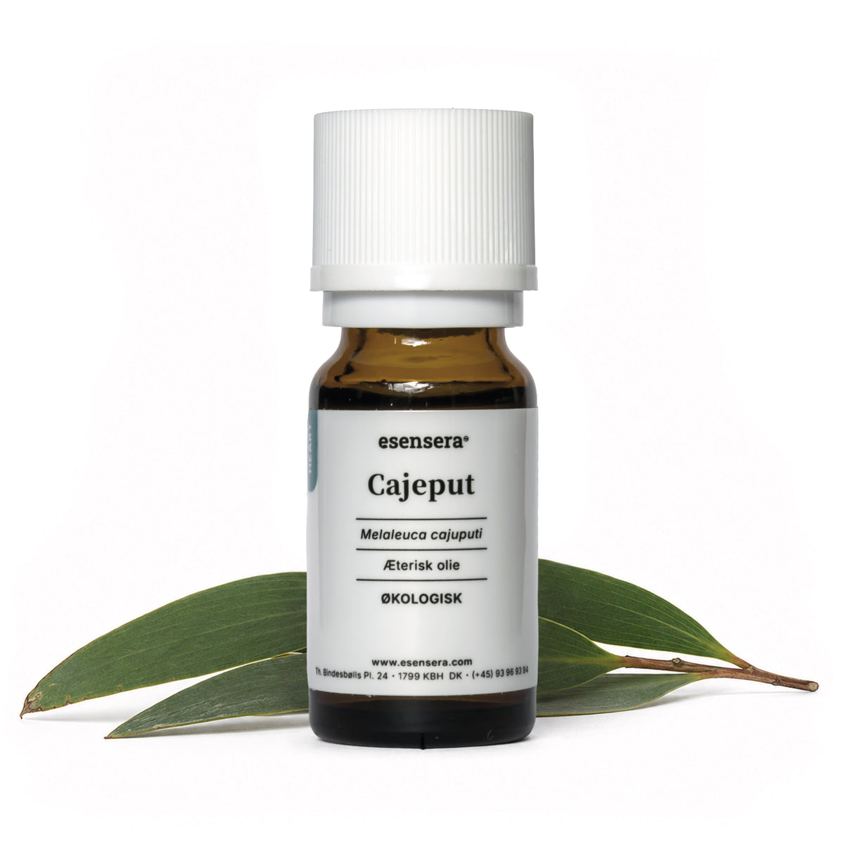Cajeput