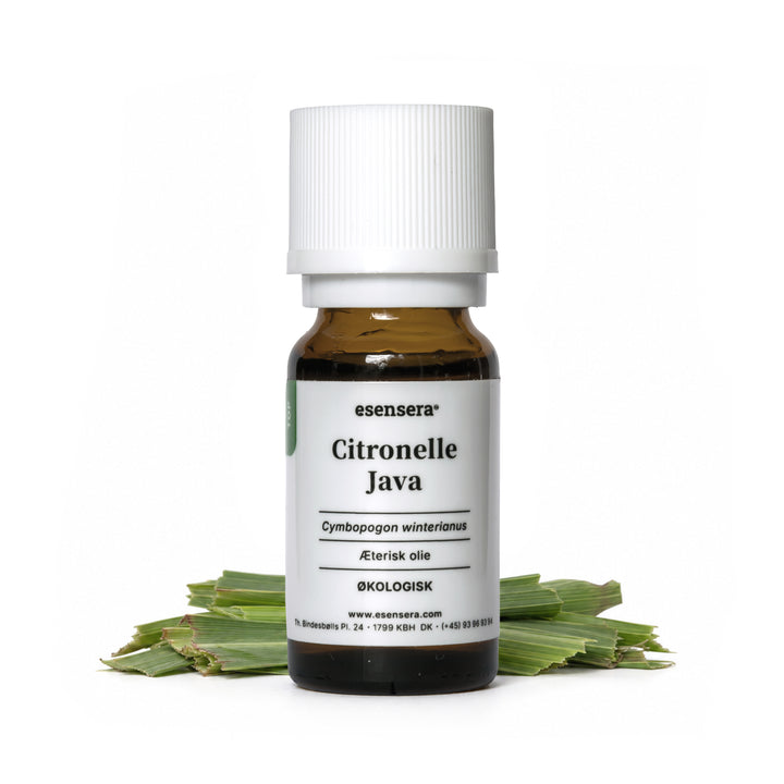 Citronelle Java