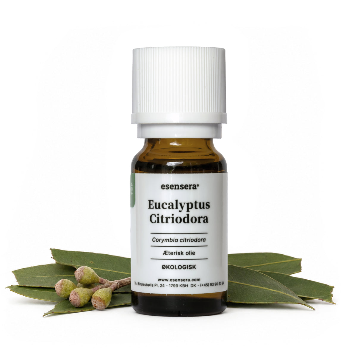 Eucalyptus Citriodora