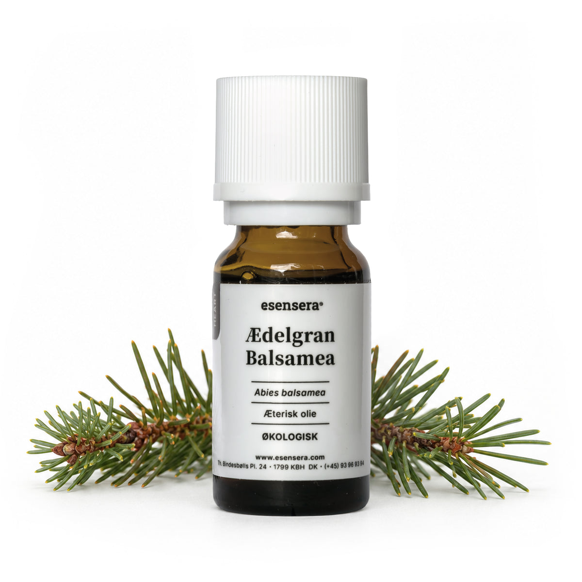 Ædelgran Balsamea