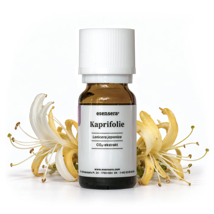 Kaprifolie