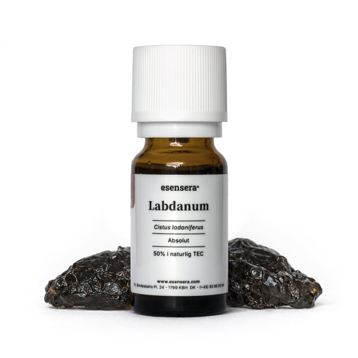 Labdanum