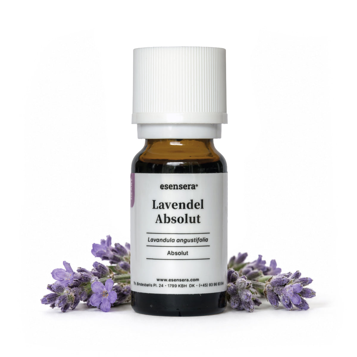 Lavendel Absolut
