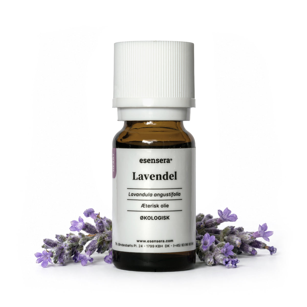 Lavendel
