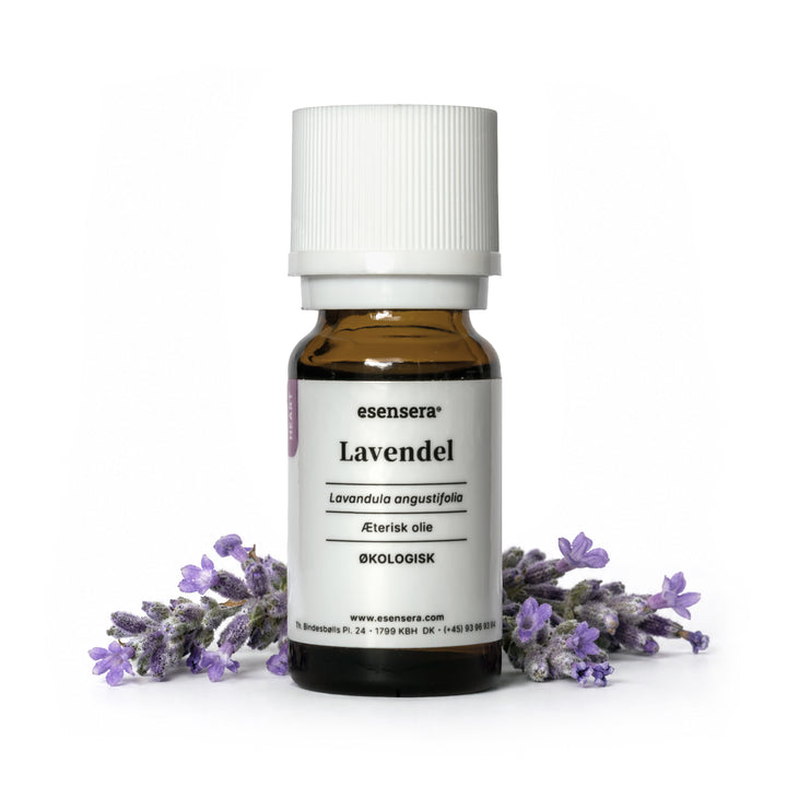 Lavendel