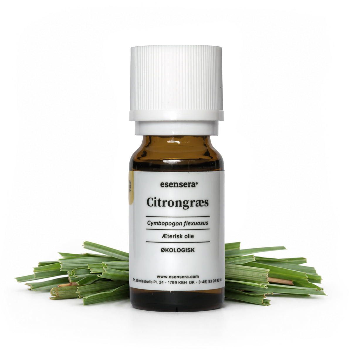Citrongræs