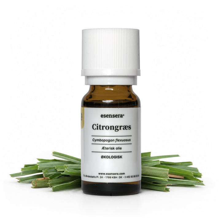 Citrongræs
