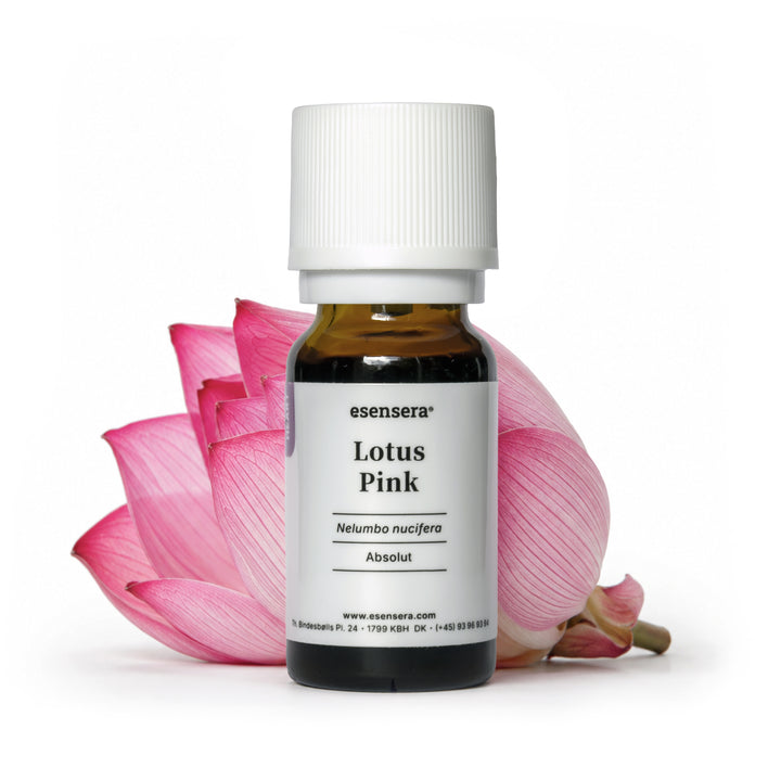 Lotus Pink