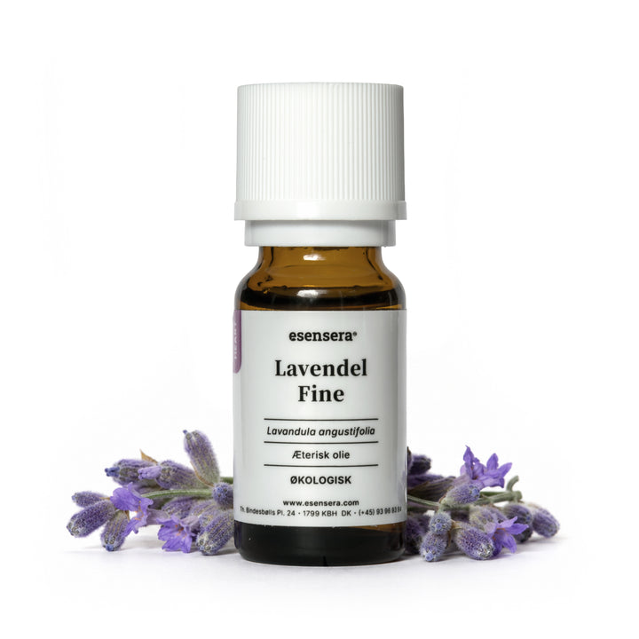 Lavendel Fine