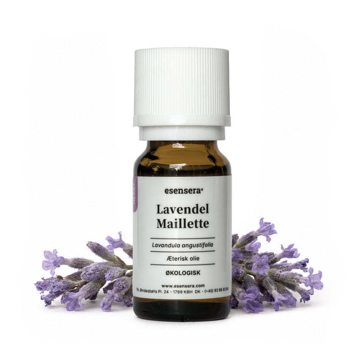 Lavendel Maillette