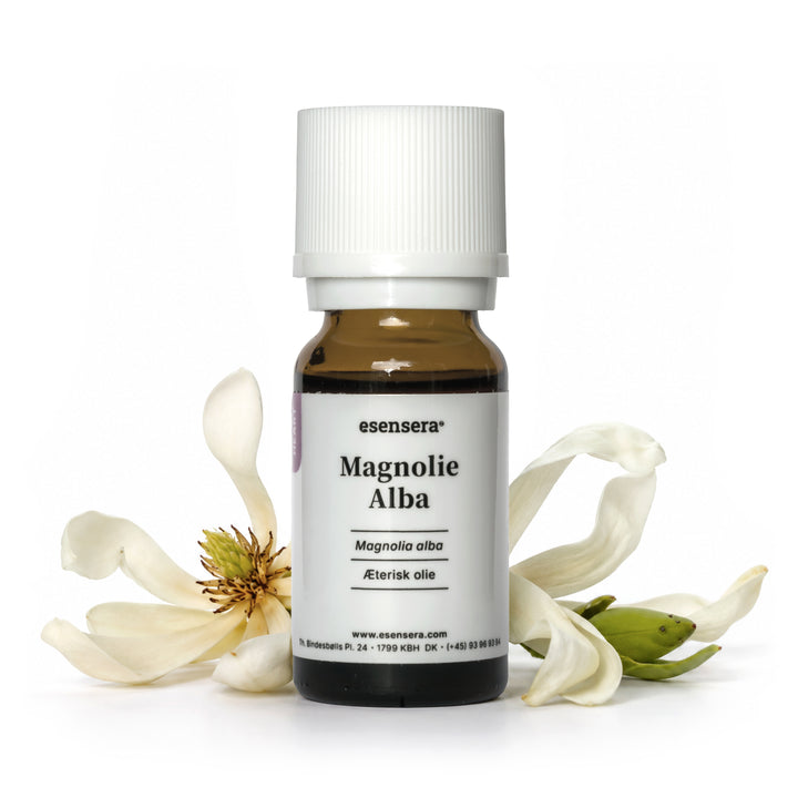 Magnolie Alba