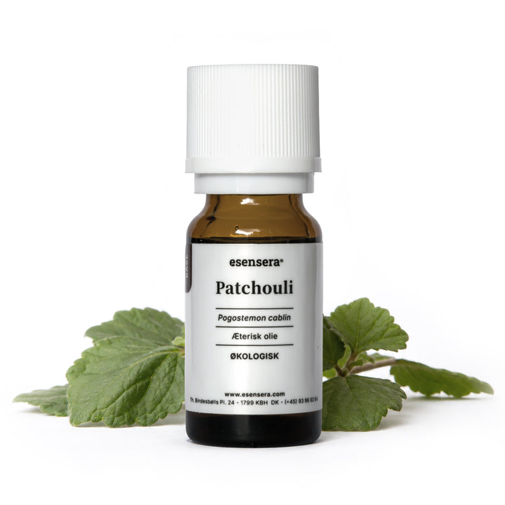 Patchouli