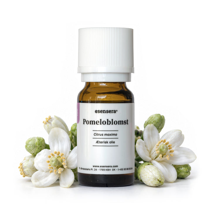 Pomeloblomst