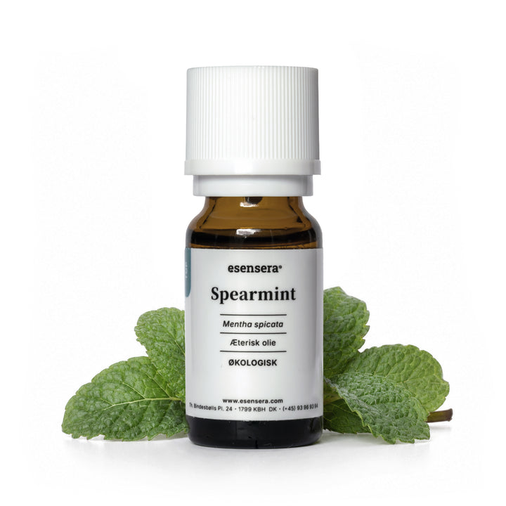 Spearmint