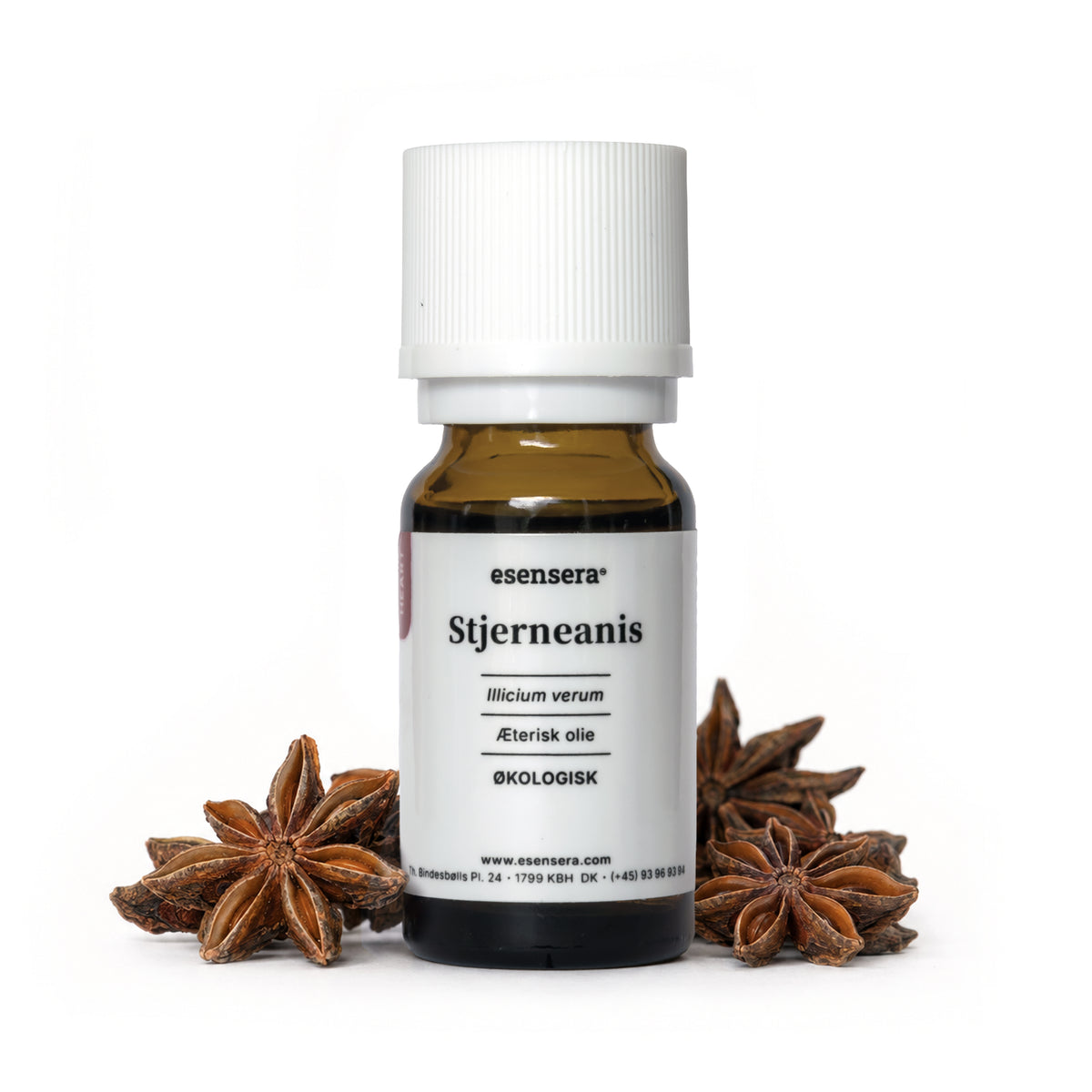 Stjerneanis