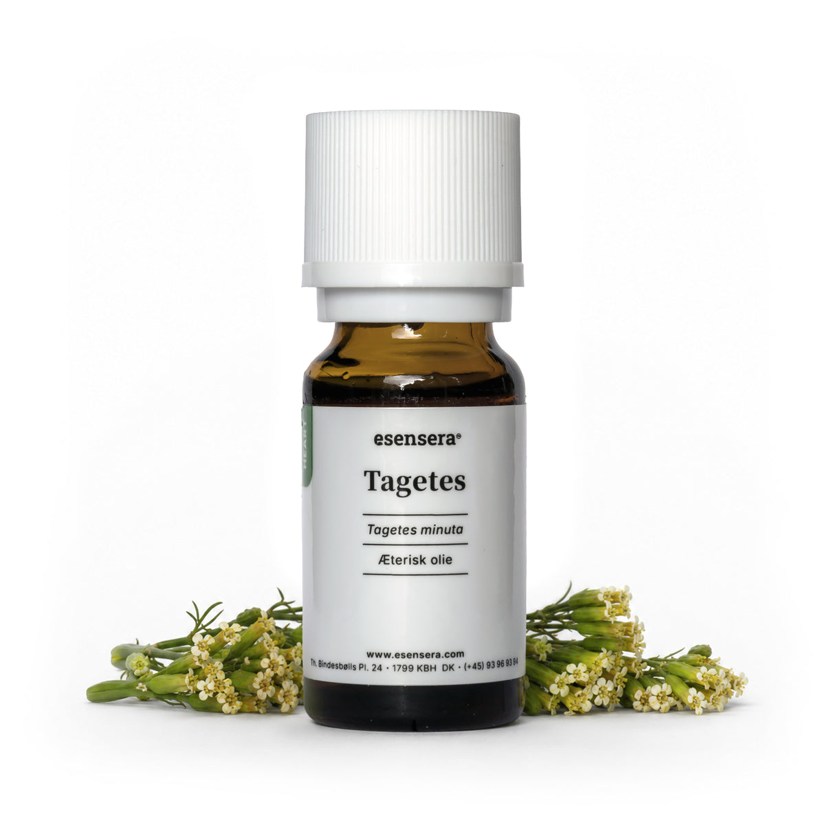 Tagetes