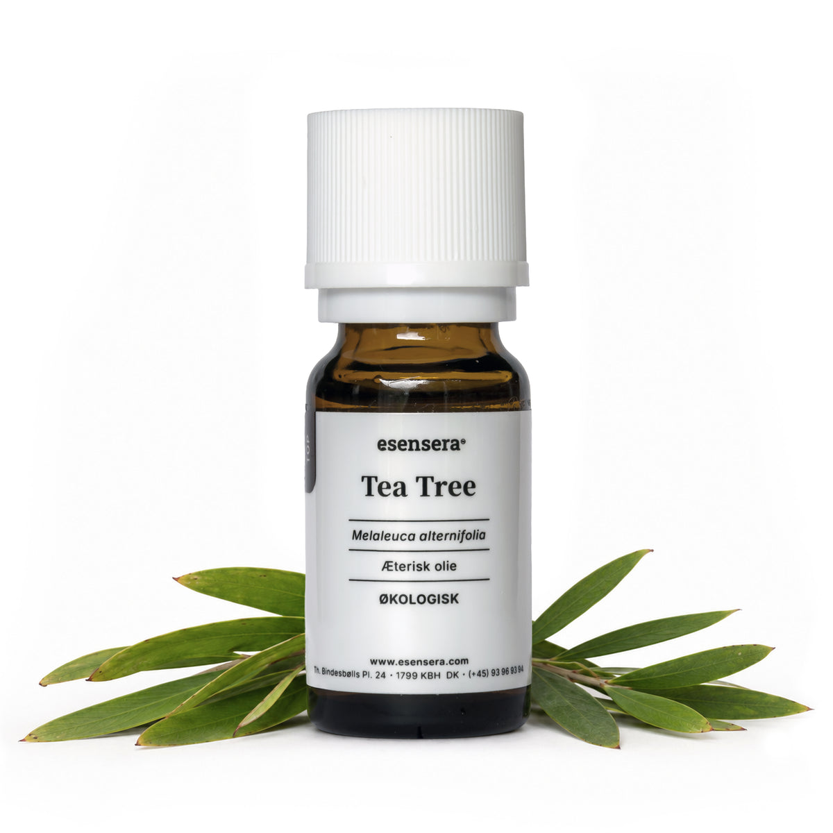 Tea Tree