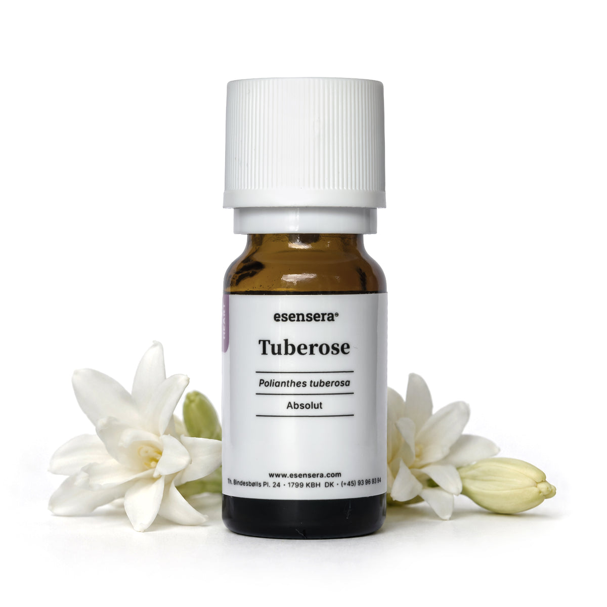 Tuberose
