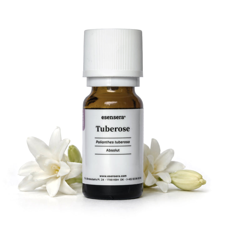 Tuberose