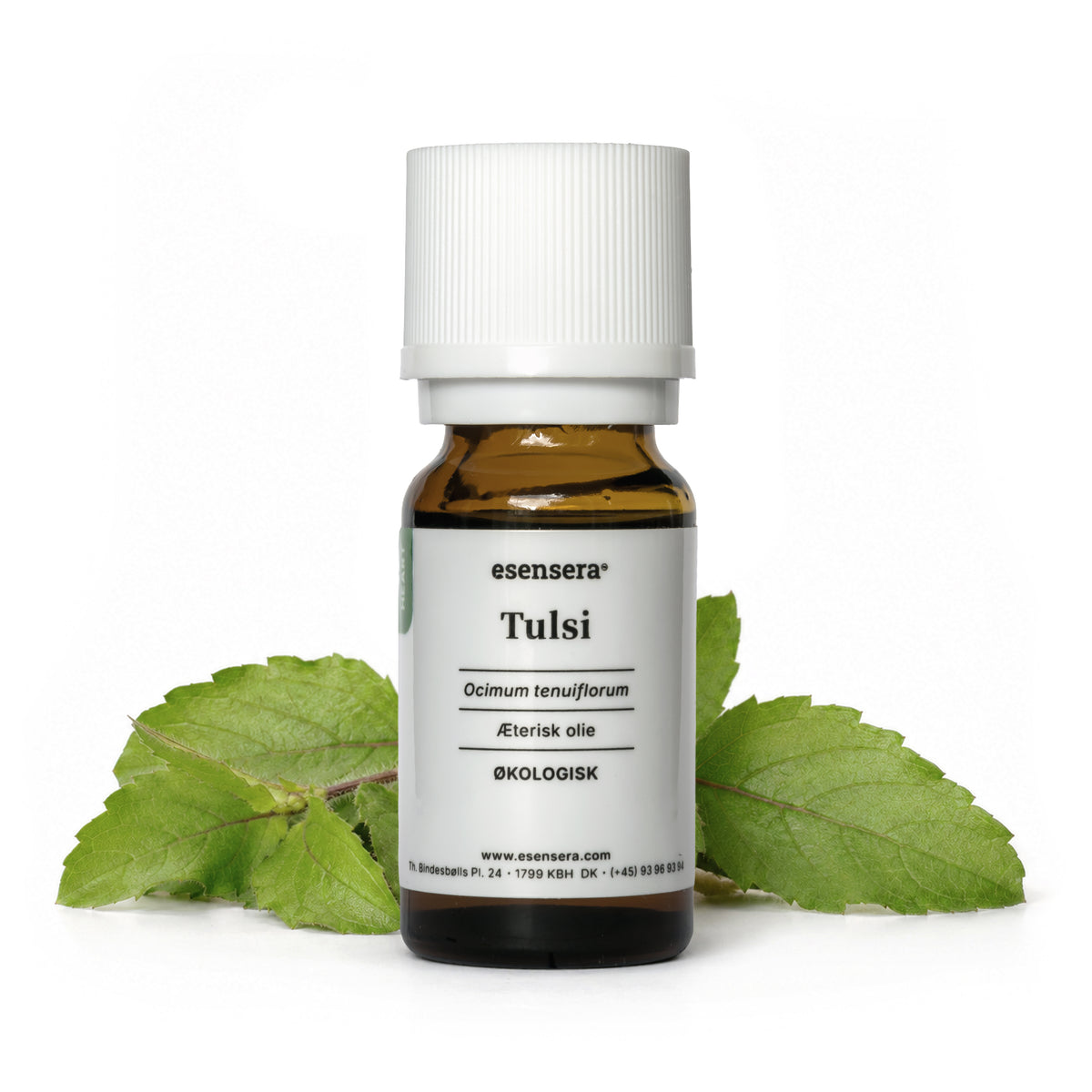 Tulsi