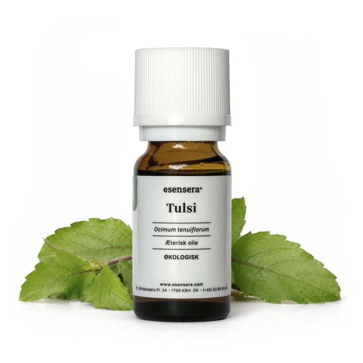 Tulsi
