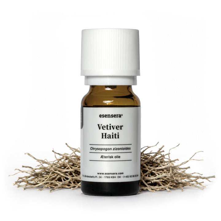 Vetiver Haiti