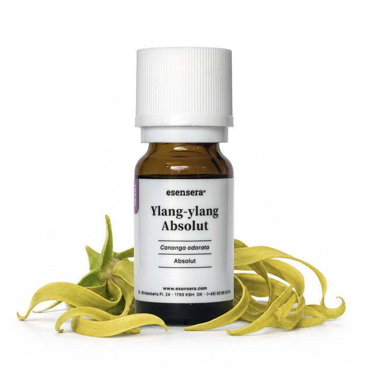 Ylang-ylang Absolut